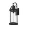 Z-Lite Roundhouse 1 Light Outdoor Wall Sconce, Black And Clear Seedy 569XL-BK - alternate 5